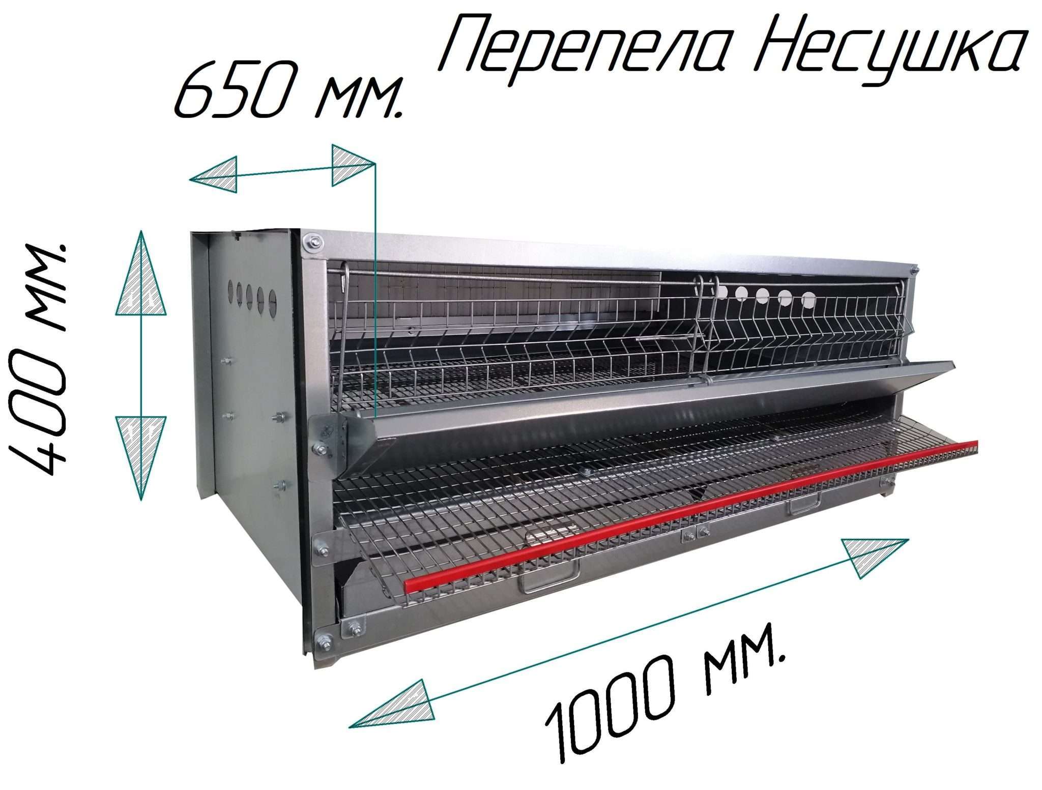 Клеточная батарея. Клетка для перепелов 400-1000. Размер клетки родительского стада перепелов. Перепела несушки фото. Рост перепелки.